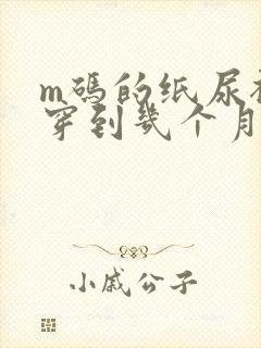 m码的纸尿裤能穿到几个月