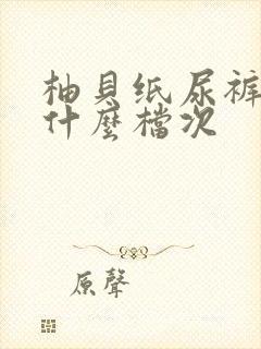 柚贝纸尿裤属于什么档次