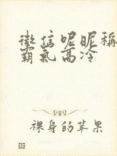 微信呢昵称男生霸气高冷