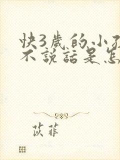 快3岁的小孩还不说话是怎么回事