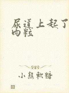 尿道上起了个小肉粒