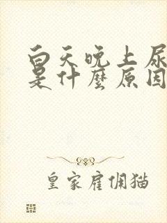 白天晚上尿频繁是什么原因