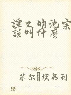 谭又明沈宗年小说叫什么