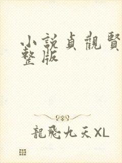 小说贞观贤王完整版