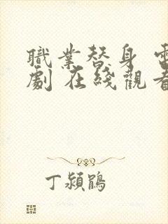 职业替身 电视剧 在线观看