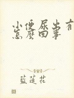 小便尿出有泡泡怎么回事