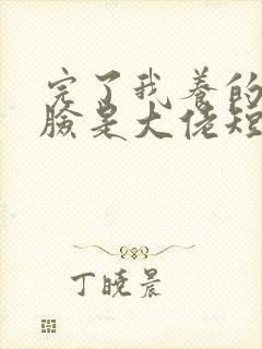 完了我养的小白脸是大佬短剧在线观看