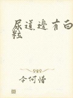 尿道边有白色肉粒