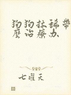 狗狗拉稀带血怎么治疗办