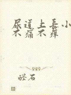 尿道上长小肉粒不痛不痒