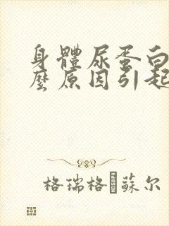 身体尿蛋白是什么原因引起的