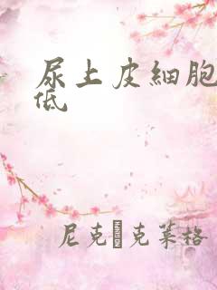 尿上皮细胞计数低