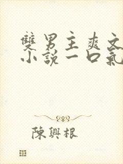 双男主爽文甜宠小说一口气