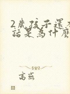 2岁孩子还不说话是为什么