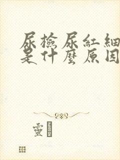 尿检尿红细胞高是什么原因