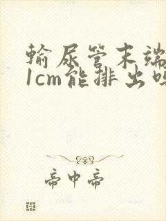 输尿管末端结石1cm能排出吗