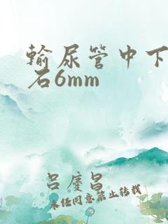 输尿管中下段结石6mm