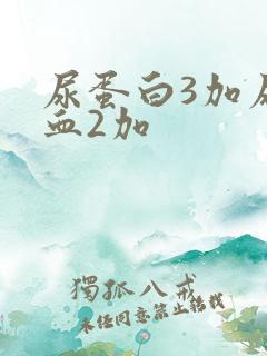 尿蛋白3加尿隐血2加