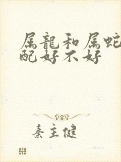 属龙和属蛇的婚配好不好