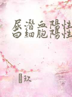 尿潜血阳性,尿白细胞阳性