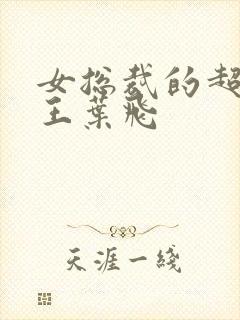 女总裁的超级兵王叶飞