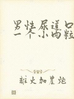 男性尿道口上有一个小肉粒