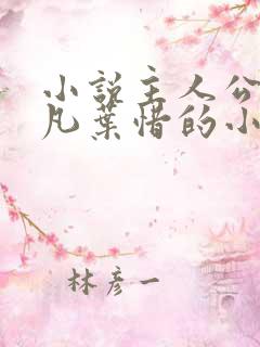 小说主人公叫林凡叶惜的小说