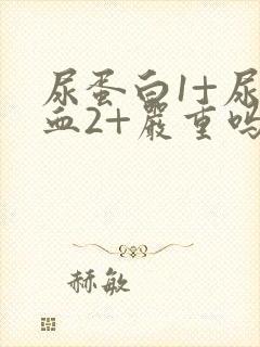 尿蛋白1+尿潜血2+严重吗