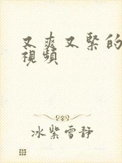 又爽又紧的少妇视频