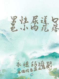 男性尿道口有白色小肉疙瘩怎么回事