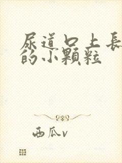 尿道口上长白色的小颗粒