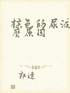 棕色的尿液是什么原因