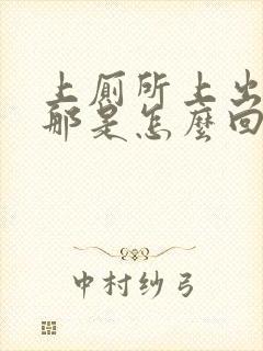 上厕所上出血来那是怎么回事