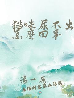 猫咪尿不出来尿怎么回事