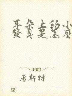 耳朵上的小孔痒发臭是怎么回事