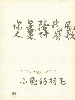 你是陪我风雨的人是什么歌