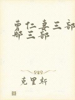 曹仁妻三部曲是哪三部