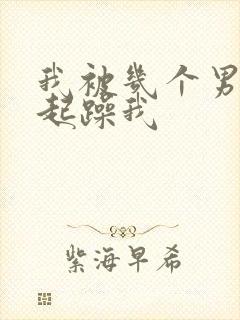 我被几个男人一起躁我