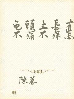 龟头上长有红点不痛不痒怎么回事