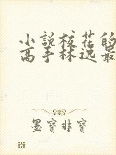 小说校花的贴身高手林逸最新章节列表列表