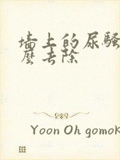 墙上的尿骚味怎么去除