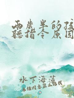 两岁半的孩子不听指令原因