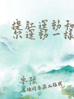 提肛运动和凯格尔运动一样吗