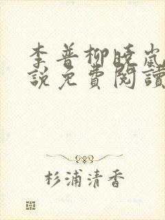 李普柳晓岚的小说免费阅读全文无弹窗