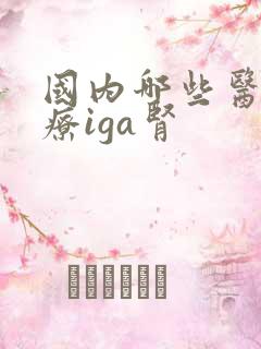 国内哪些医院治疗iga肾