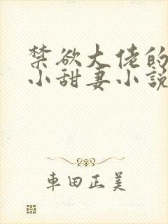 禁欲大佬的闪婚小甜妻小说