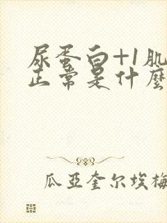 尿蛋白+1肌酐正常是什么原因