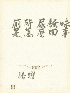 厕所尿骚味很重是怎么回事