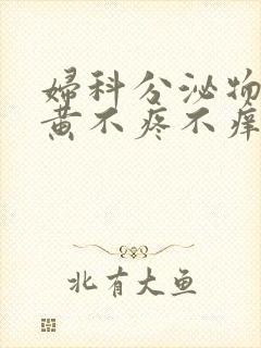 妇科分泌物有点黄不疼不痒