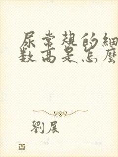 尿常规的细菌计数高是怎么回事